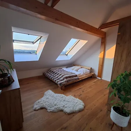 Appartement Edler Wohnraum Stadt-apartment Mit Loggia, Boxspringbett, Kaffeevollautomat, Kostenlosem Parkplatz Und Wlan Zwickau
